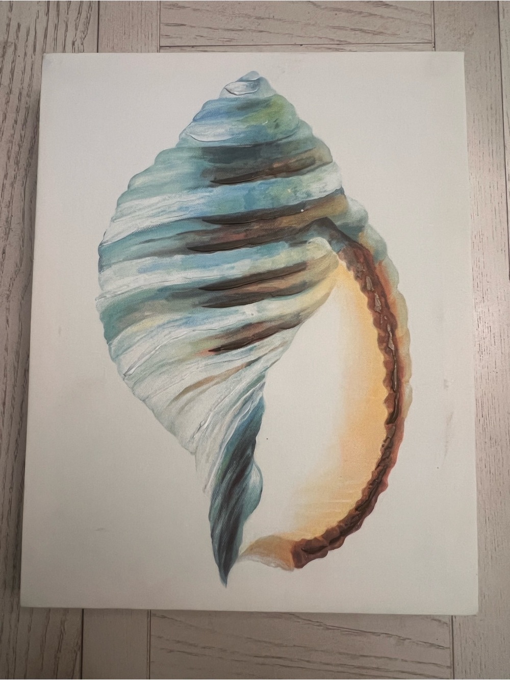Coastal Shell Watercolor Canvas Wall Art - Blues, Tan and Brown 14”x 11”